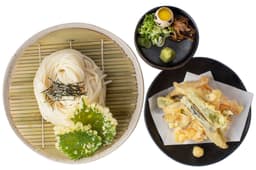cold udon with vegetable tempura