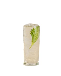 shiso gin & tonic
